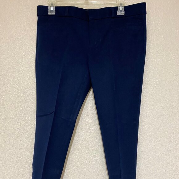 Banana Republic Sloan Skinny Slacks – 10P – Navy – Excellent Con… - Picture 1 of 7